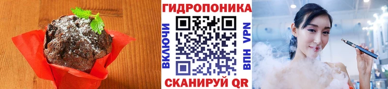 Cannafood конопля  MEGA зеркало  Судогда 