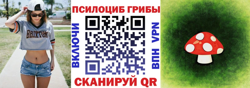 цена наркотик  Судогда  Галлюциногенные грибы мицелий 